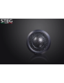 MSS1..-450x579.png