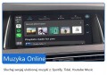 BMW-APPLE-CARPLAY-SERIA-1-3-5-X1-X3-X5-FV-WWA-Montaz-niestandardowy.jpg